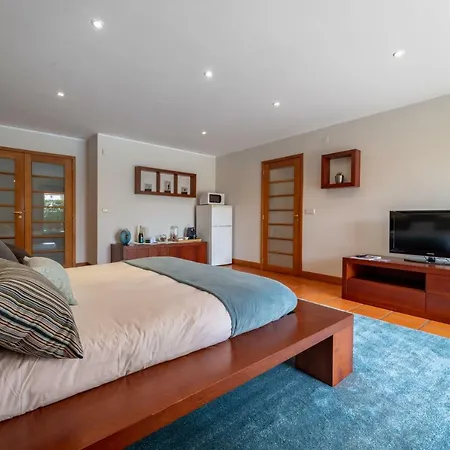 منزل للإقامة Se - Casa Da Encosta With Private Pool براغا